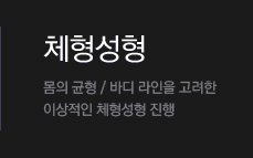 체형성형